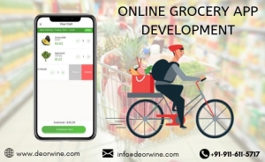 Online grocery app development